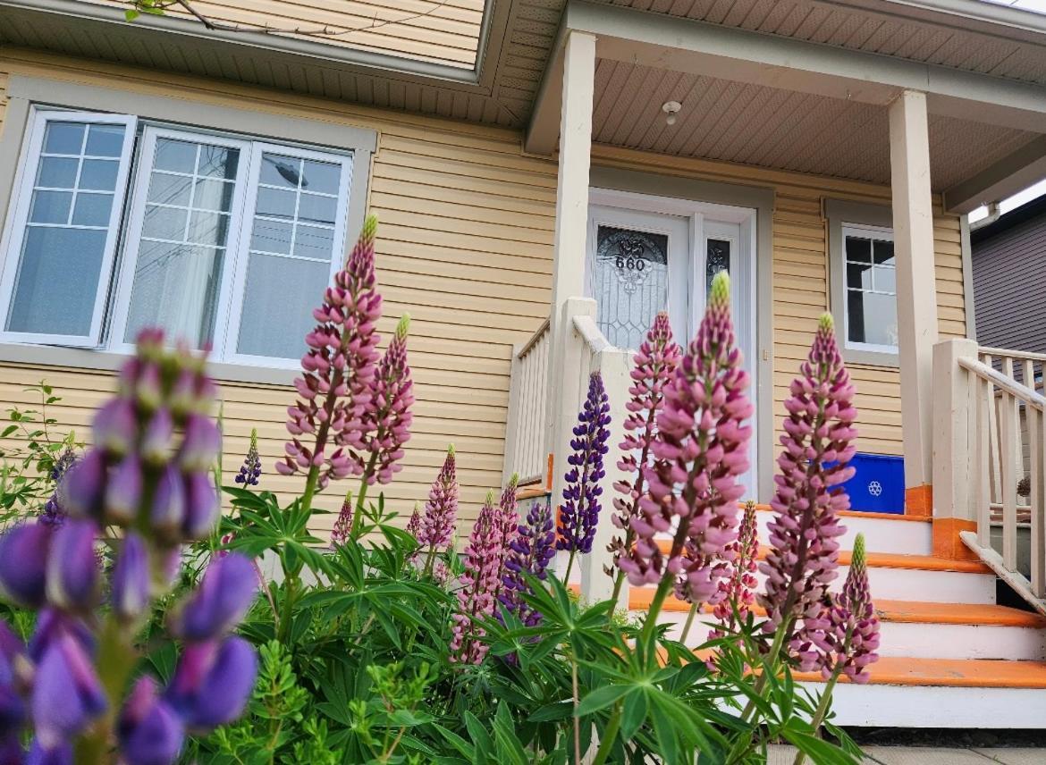 שרברוק Maison Chaleureuse, Energetique Et Florale מראה חיצוני תמונה